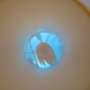 Am seidenen Faden, 2019, Durchmesser 80 cm, Papier/Kunststoff/Licht, Detail 2, Iris Flexer